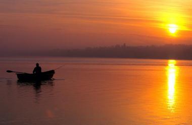 mai multe :) - q5.jpg